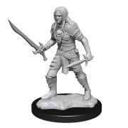 D&D Nolzur's Marvelous Unpainted Miniatures: Elf Fighter Male