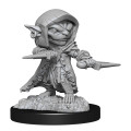 D&D Nolzur's Marvelous Unpainted Miniatures: Goblin Rogue Male 0