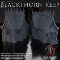Dark realms - Blackthorn Keep - Dark Kin Elf Building 1 0