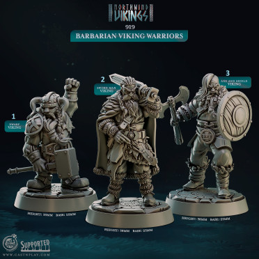 Cast n Play - Vikings Northwind - Guerriers Barbares