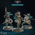 Cast n Play - Northwind Vikings - Valkyries 1