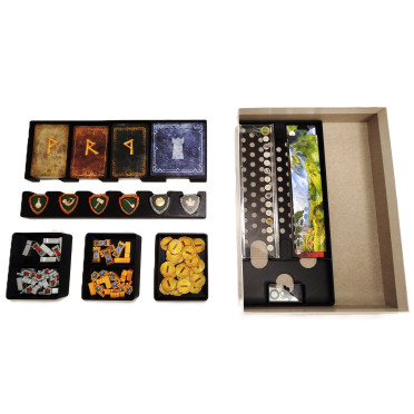 Insert compatible avec Le Seigneur des Anneaux : Duel pour la Terre du Milieu