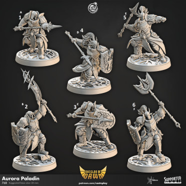 Cast n Play - Boucliers de l'Aube - Paladins de l'Aurore