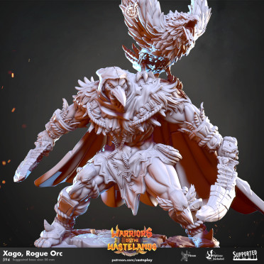 Cast n Play - Guerriers des Terres Désolées - Xago