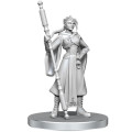 Critical Role Unpainted Miniatures: Beauregard Lionett & Caleb Widogast 2