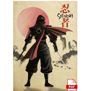 Shinobi - Extension pour Ronin - JDR Solo - PDF