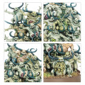 Age of Sigmar : Fer de Lance - Putrescents de Nurgle – Cellule Bubonique 4