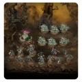 Age of Sigmar : Fer de Lance - Putrescents de Nurgle – Cellule Bubonique 9