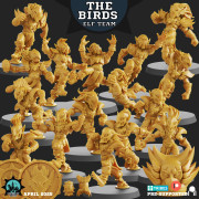 The Birds - Elves Union Team