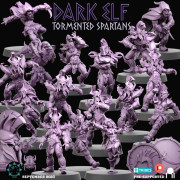 Dark Elf Team - Tormented Spartans