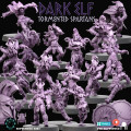 Dark Elf Team - Tormented Spartans 0