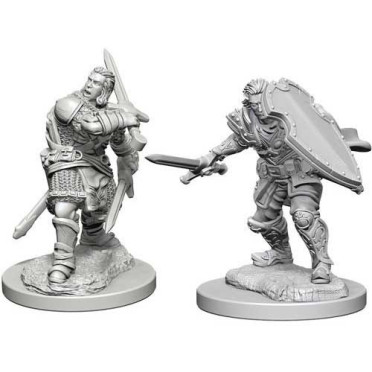 D&D Nolzur’s Marvelous Miniatures - Human Male Paladin