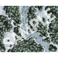 Pathfinder Flip-Mat: Boreal Forest 2