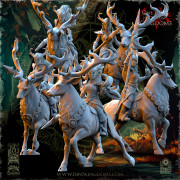 The Beholder Miniatures - Sylvains - Demoiselles des Sous-Bois