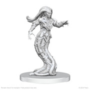 Pathfinder Battles Deep Cuts Unpainted Miniatures: Gylou & Ferrugon