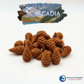 Cascadia - Kit d'amélioration Deluxe 3