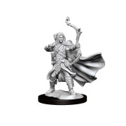 Dungeons & Dragons Frameworks: W01 Elf Ranger Male