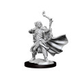 Dungeons & Dragons Frameworks: W01 Elf Ranger Male 0