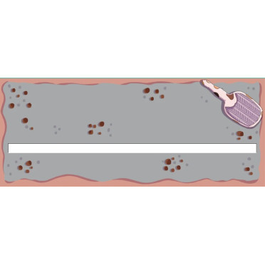 Stack'o'Cats: XL Base Litter Box