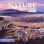 Nature - Module 4: Arctic Tundra