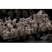 Orques et gobelins - 20 Orques noirs avec Boucliers