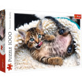 Puzzle - Happy Cat - 1000 pièces 0
