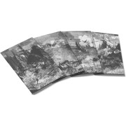 Farewell to Arms REDUX - Campaign Books