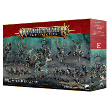 Age of Sigmar : Bataillon Ossiarch Bonereapers - Phalange de la Myriade du Néant