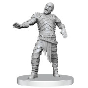 D&D Nolzur's Marvelous Miniatures: Swarm of Rot Grubs & Rot Grub Victim