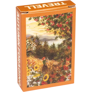 Boite de Mini puzzle - Autumn Foraging - 99 pièces