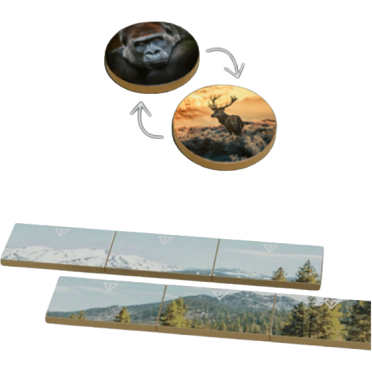 Boite de Earth - Règne Animal - KS Goodies