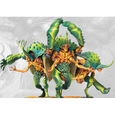 Boite de Conquest - Weaver Courts - Gallowglass Warriors