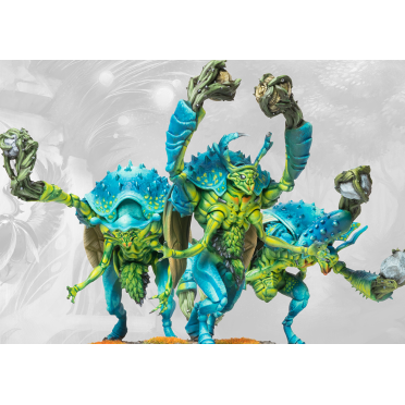Boite de Conquest - Weaver Courts - Gallowglass Wardens