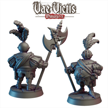 Boite de Vae Victis - Humains - Chevalier Distingué