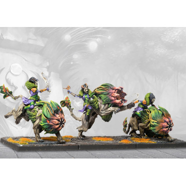 Boite de Conquest - Weaver Courts - Fianna Cavalry