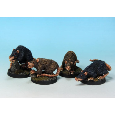 Boite de 7TV - Giant Rats