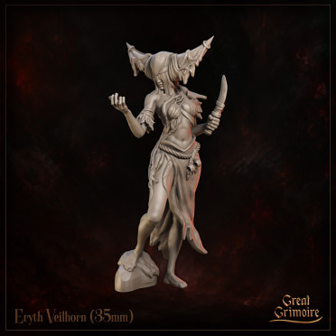 Boite de Great Grimoire - Runeblood Covenant - Eryth