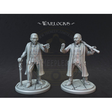 Boite de Figurines de Démoniste