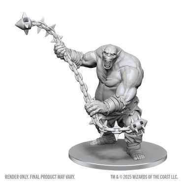 Boite de D&D Nolzur's Marvelous Miniatures: Ogre Chain Brute