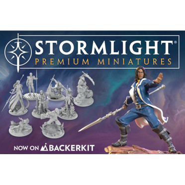 Boite de Cosmere - Stormlight Premium Miniatures - Occasion