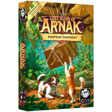 Boite de Lost Ruins of Arnak: Surprise Shipment - Occasion