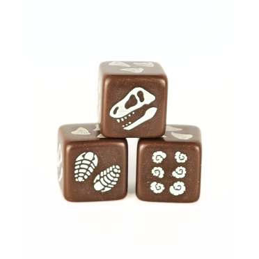 Boite de Set de 4 D6 – Fossile de dinosaure