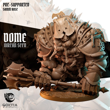 Boite de Goetia Miniatures - Shadows of Mol'ntar - Dome