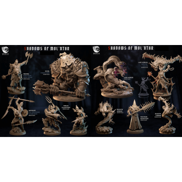 Boite de Goetia Miniatures - Shadows of Mol'ntar - Set Complet