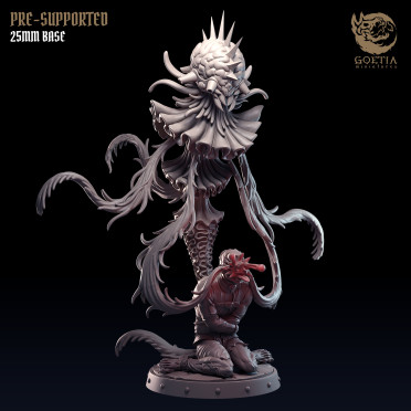 Boite de Goetia Miniatures - Madhouse - Neurotransmitter