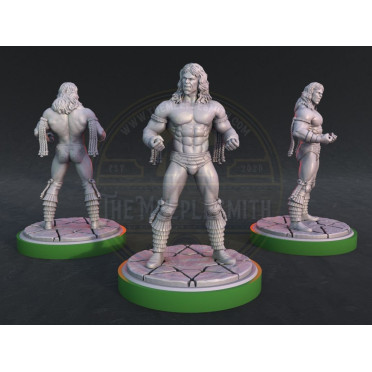 Boite de Ultimate Warrior WWE