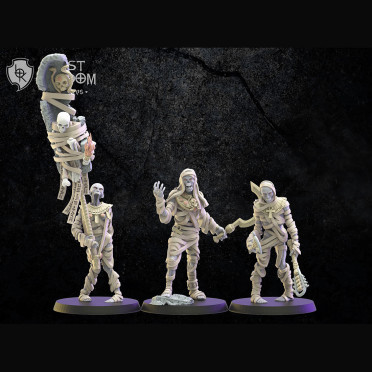 Boite de Lost Kingdom miniatures - Rois des Tombes - 10 Momies avec Etat-Major