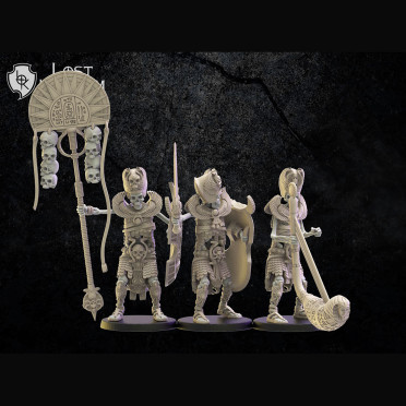 Boite de Lost Kingdom miniatures - Rois des Tombes - 10 Epéistes Antiques avec Etat-Major