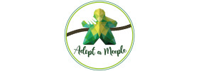 Adopt a Meeple